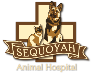 Sequoyah Animal Hospital